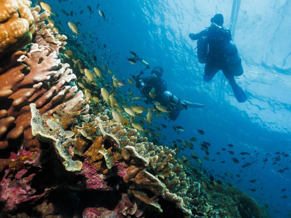 Cebu Seaview Dive Resort โมอัลโบอัล ภายนอก รูปภาพ