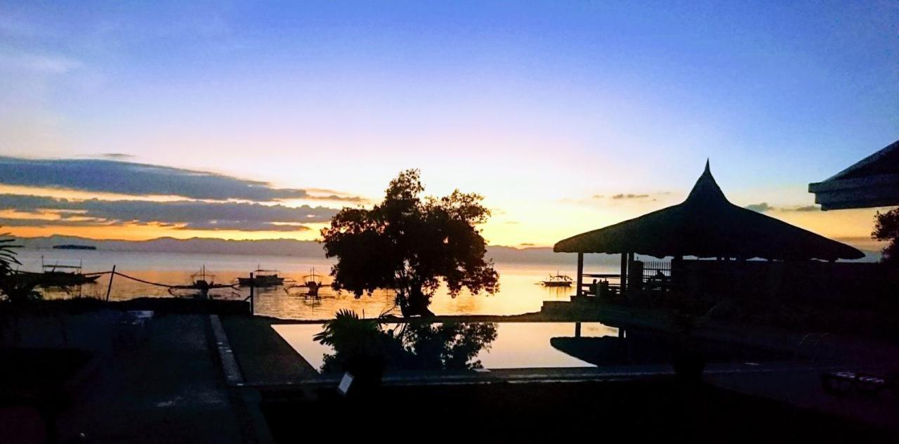 Cebu Seaview Dive Resort โมอัลโบอัล ภายนอก รูปภาพ